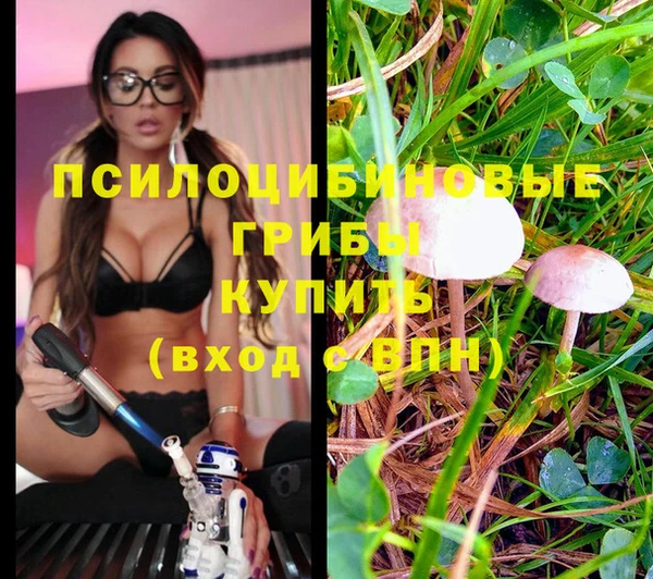 гашиш Аркадак