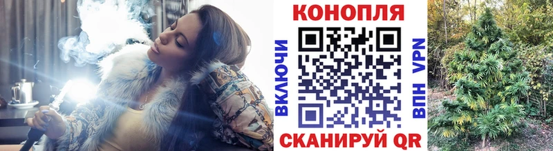 Шишки марихуана ГИДРОПОН мориарти телеграм Холмск